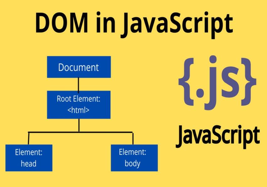 DOM در جاوا اسکریپت چیست؟ Document Object Model